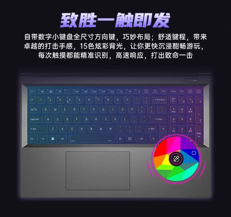 P15TA-13650HX-4070-1T_19.jpg
